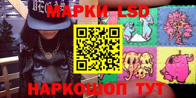 амф Камышлов