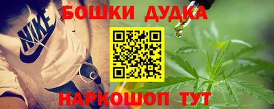 шишки Кандалакша