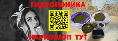 шишки Кандалакша