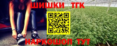 амф Камышлов