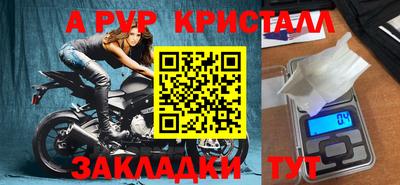 шишки Кандалакша