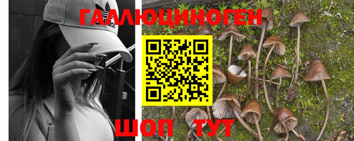 Псилоцибиновые грибы Magic Shrooms Куйбышев